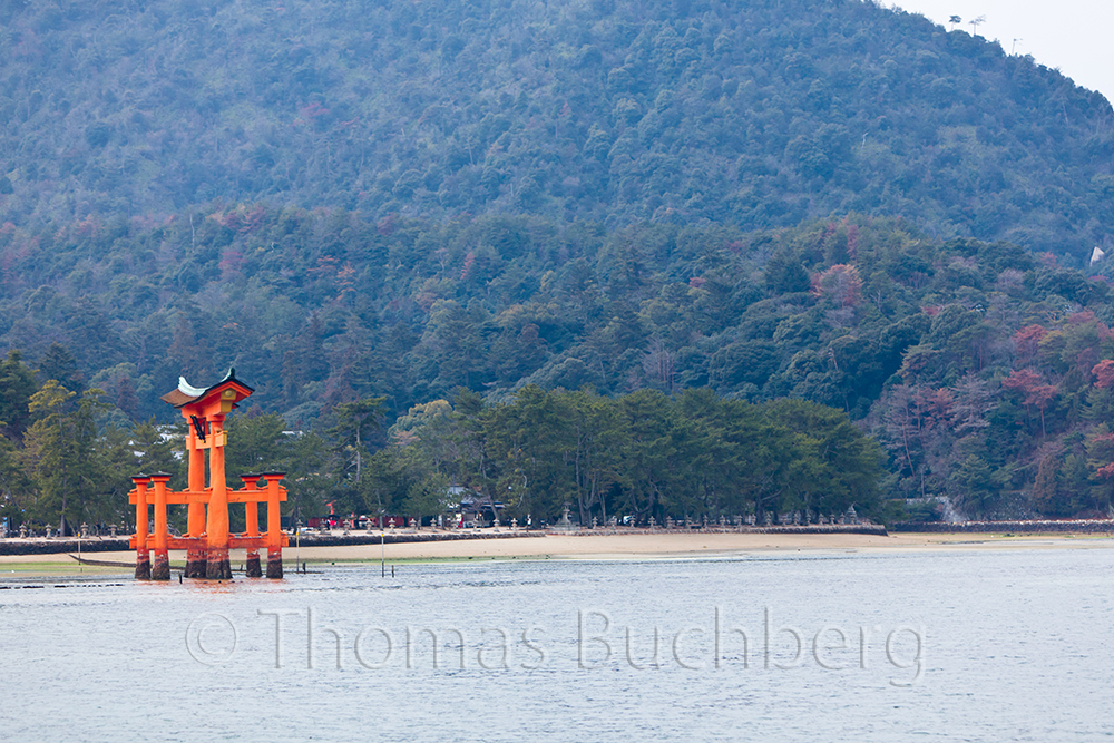 Miyajima Coast