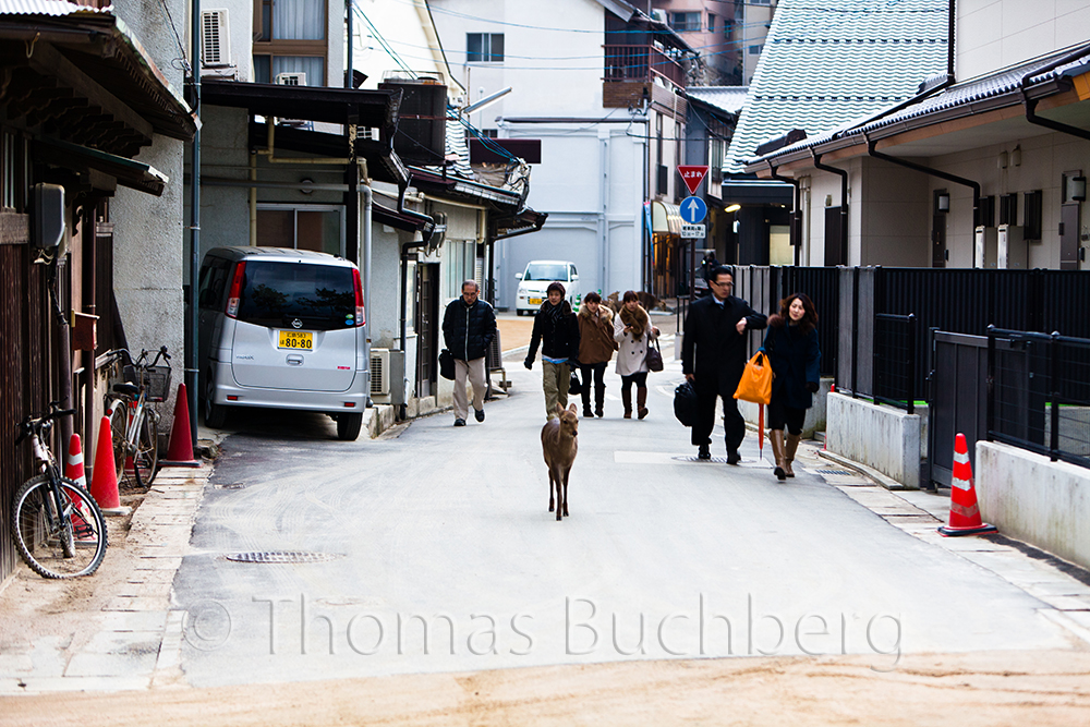 Commuters on their way home from work.