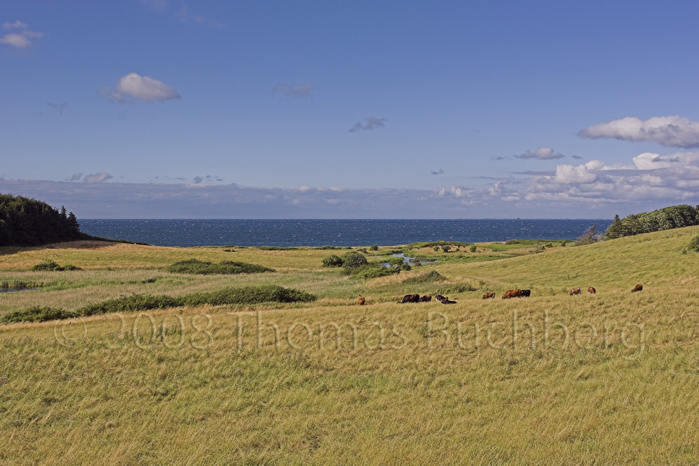 View toward the north from Vindekilde.