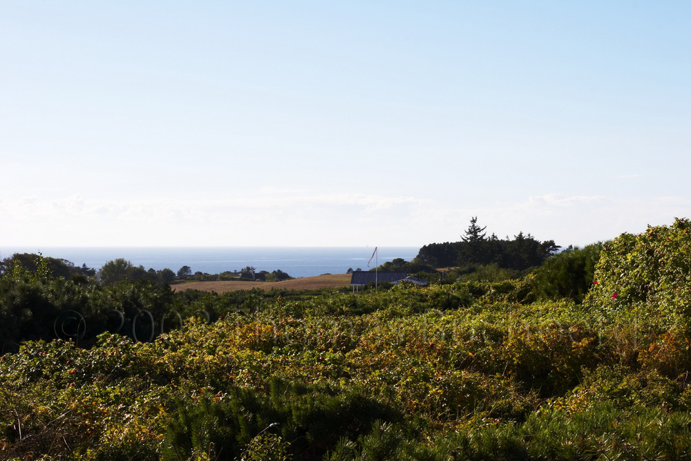 View from Helle's Klint at Røsnæs