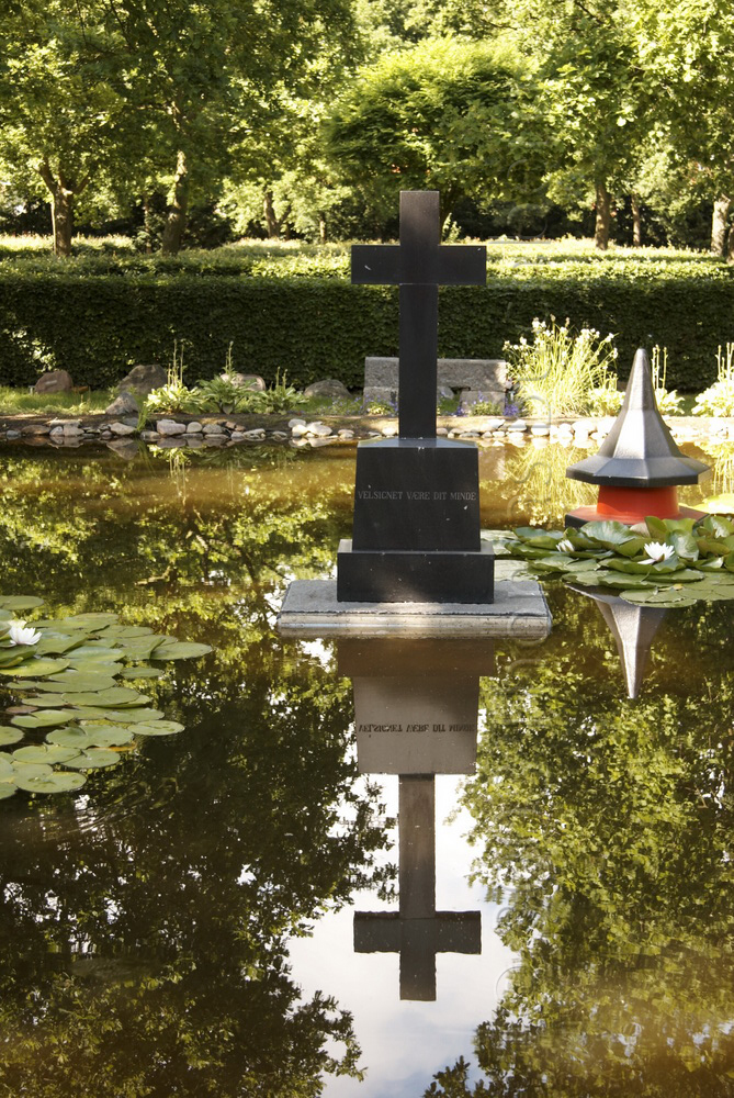 Tranquil pond, close-up